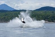 Tips for Finding Cheap Flights: A Complete Guide