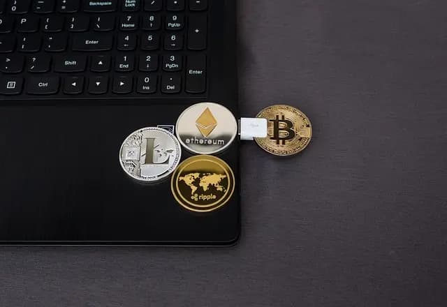 Meilleur Wallet Crypto pour Mobile : Guide d'Achat Complet